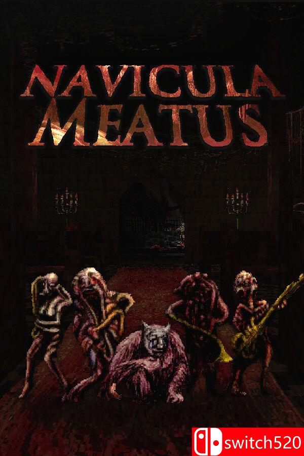 《脉络航道（Navicula Meatus）》游戏封面