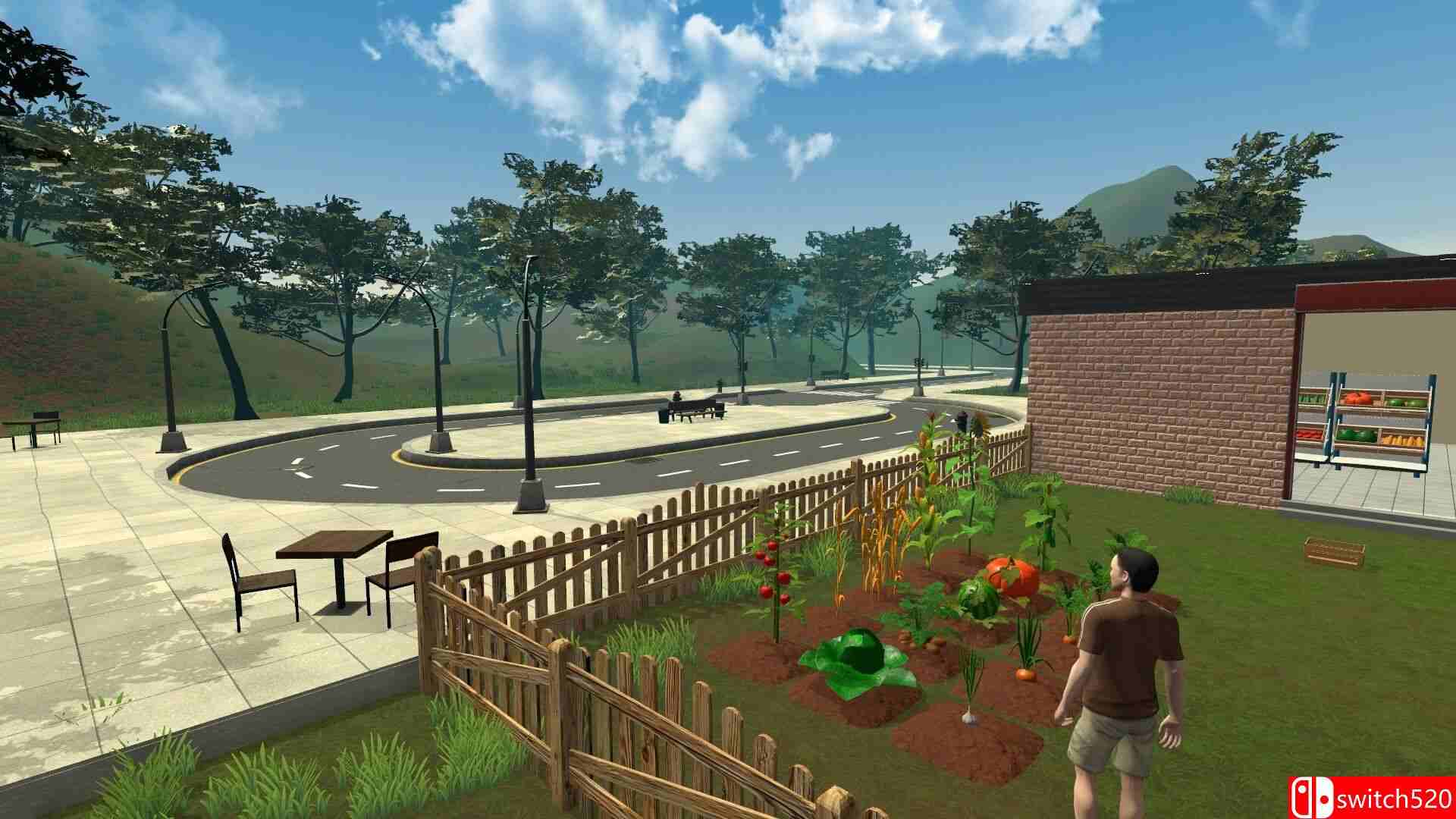 《农场与超市模拟器（Farming Supermarket Simulator）》Early Access P2P硬盘版[CN/EN]_1