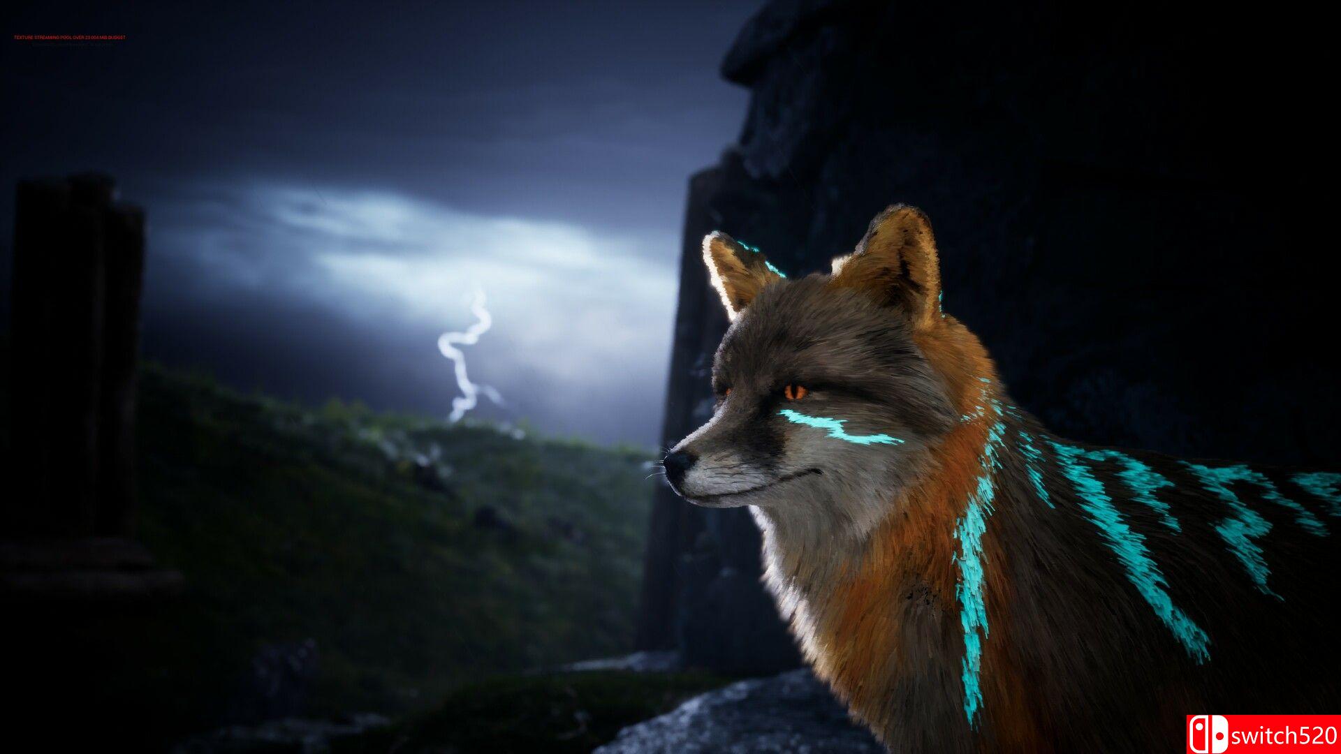 《北境之灵2》游戏截图5