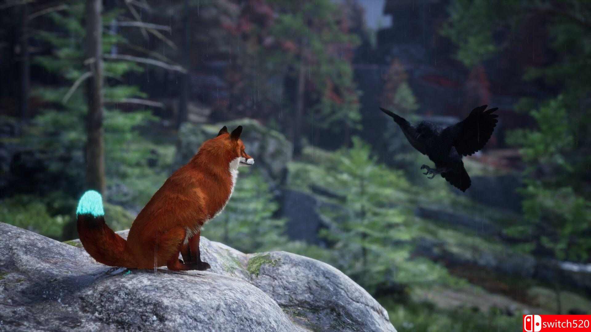 《北境之灵2》游戏截图2