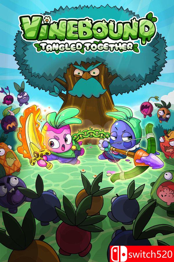 《藤蔓羁绊：紧紧相连》游戏封面图