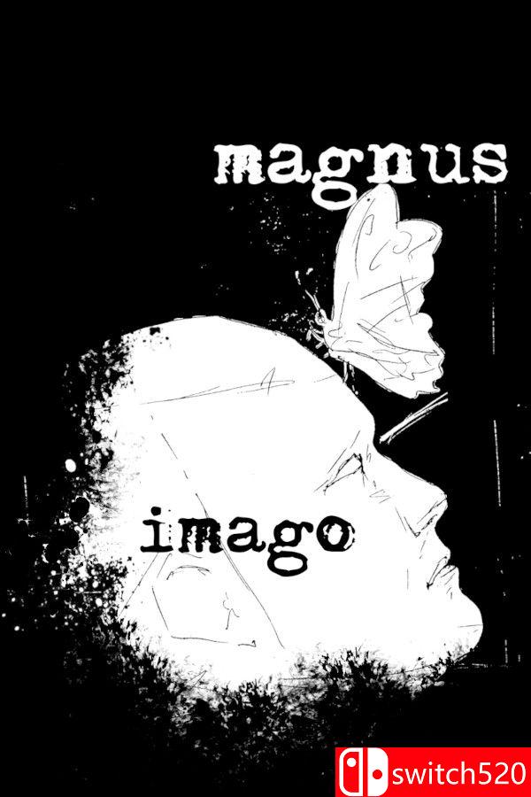 《马格努斯幻象》游戏封面