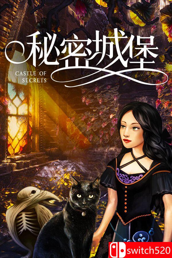 《秘密城堡》游戏封面