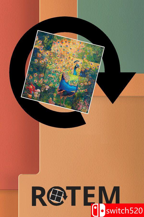 《罗特姆拼图（Rotem）》VACE硬盘版封面图