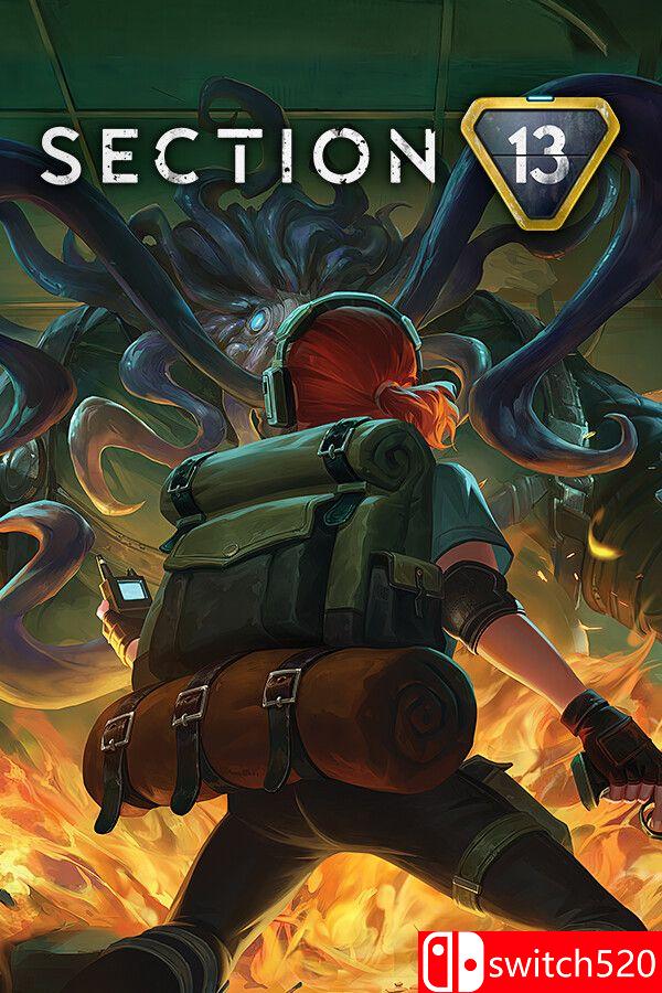 《第十三区（Section 13）》官方中文 RUNE镜像版封面图