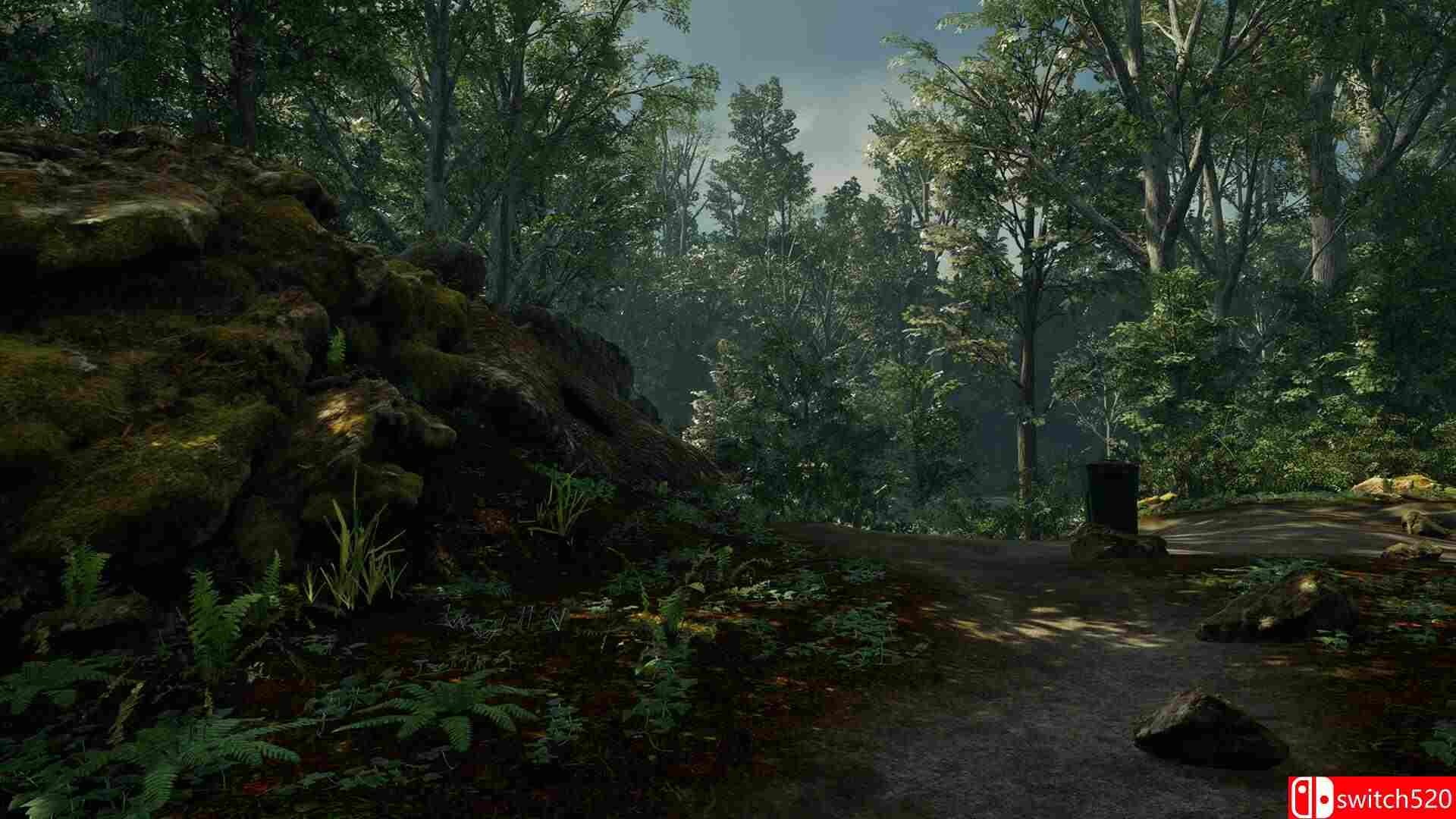 《幽径清道夫：风暴余波（Pack It Out）》TENOKE镜像版[EN]_2