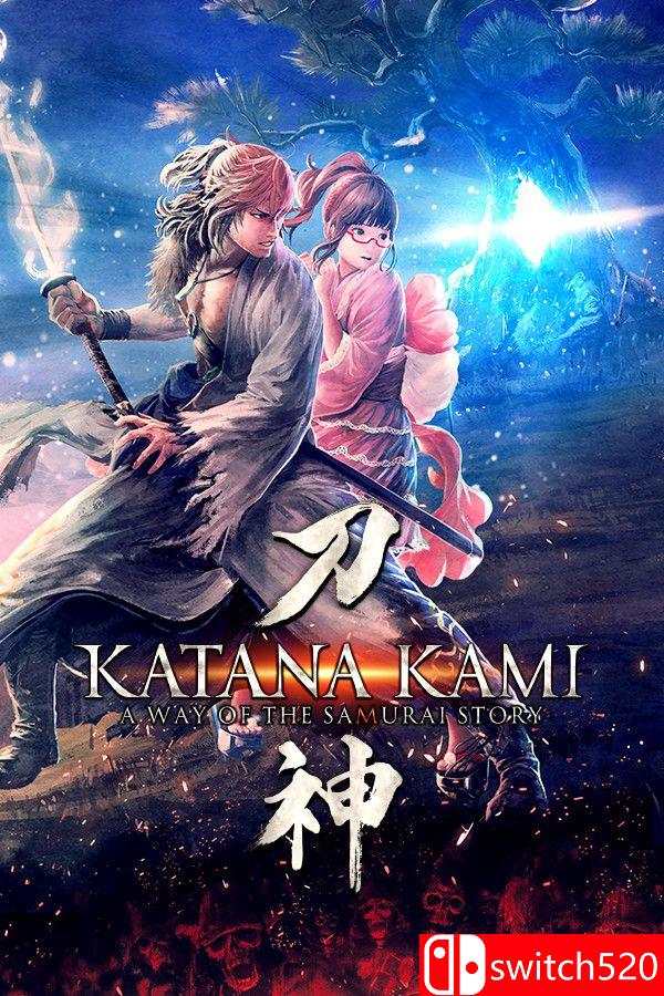 《侍道外传：刀神》游戏封面