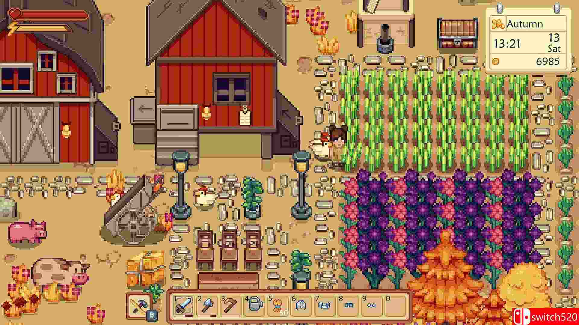 《阳光农场》截图1