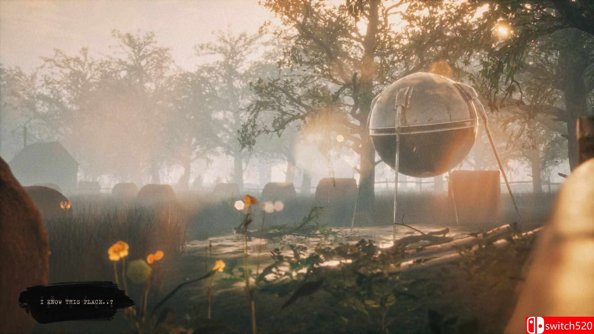 《我曾来过这里..? （I Know This Place..? ）》第二章 SKIDROW镜像版[EN]_4