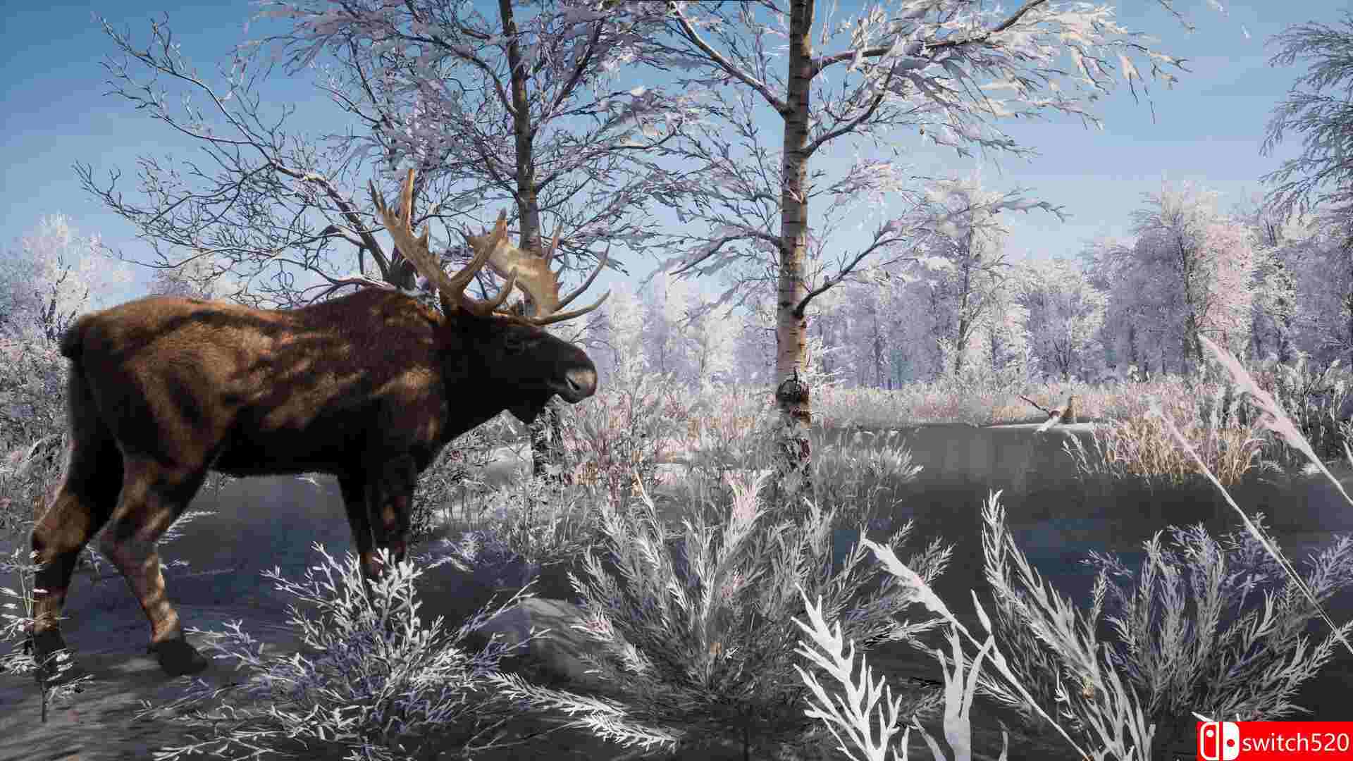 《中世纪王朝》游戏截图2