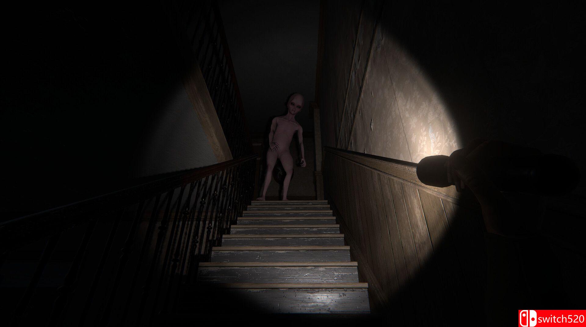 《回声悖论》游戏截图1