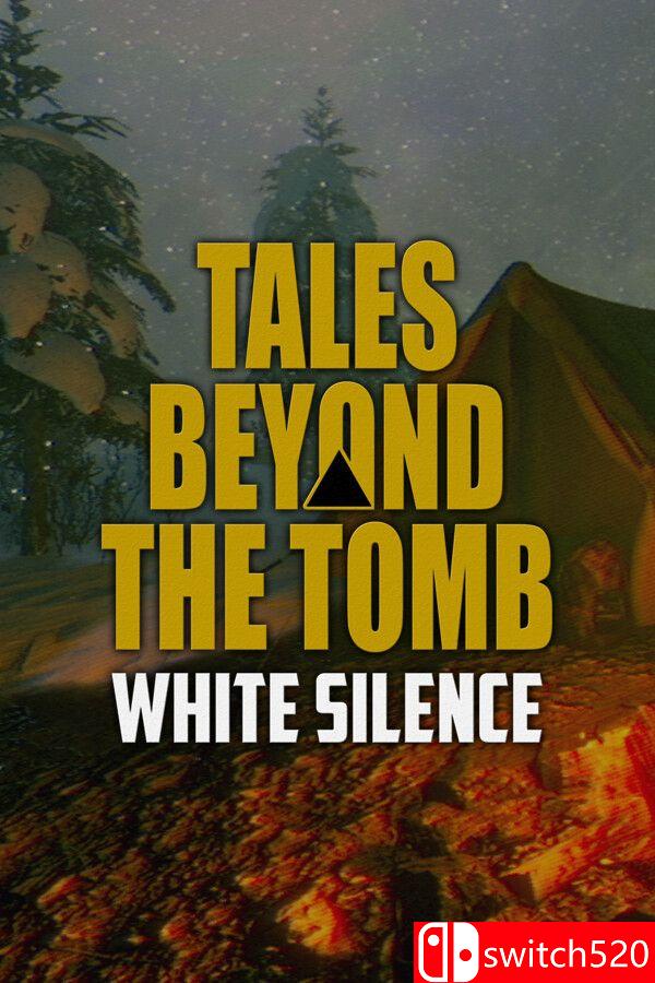 《墓之外传：白色沉寂》游戏封面