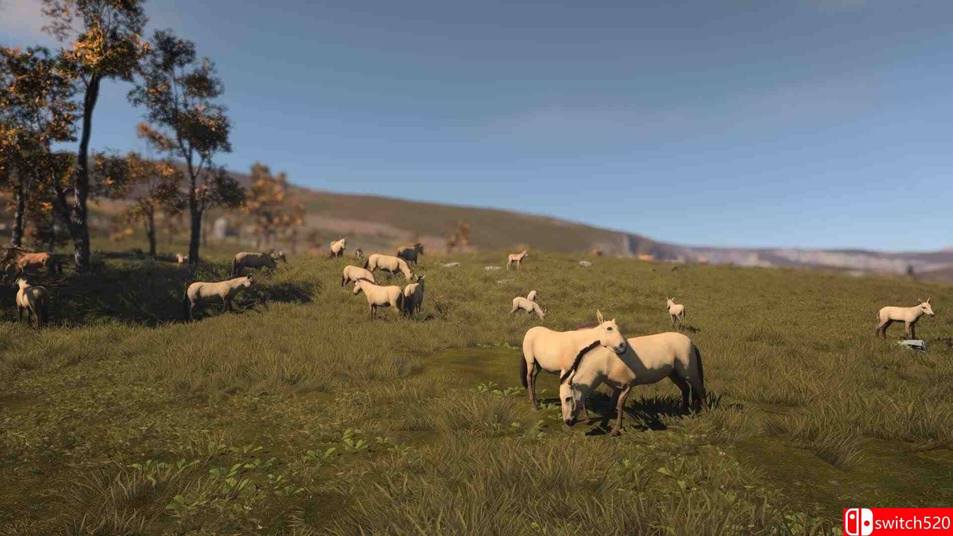 《古老城市》游戏截图4