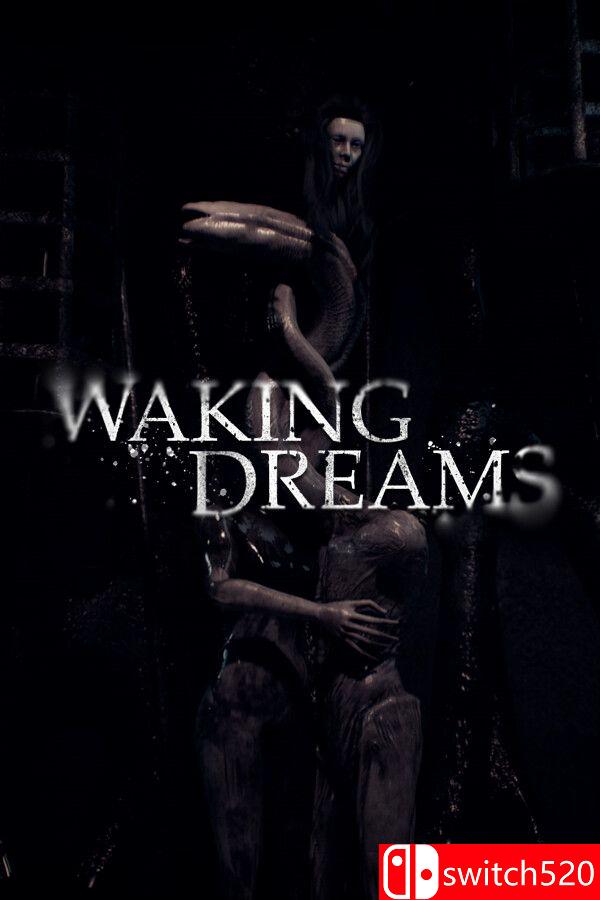 《梦醒时分（Waking Dreams）》游戏封面
