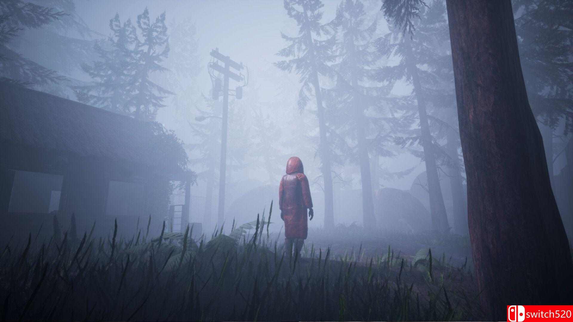 《天空之纱》游戏截图1