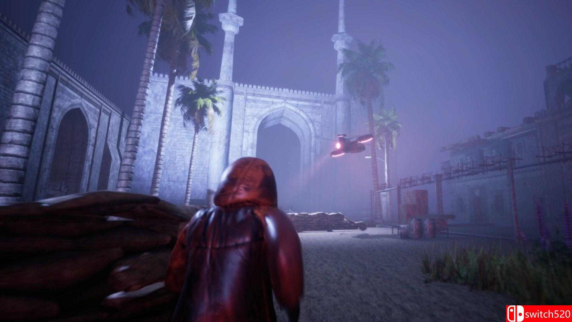 《天空之纱》游戏截图2