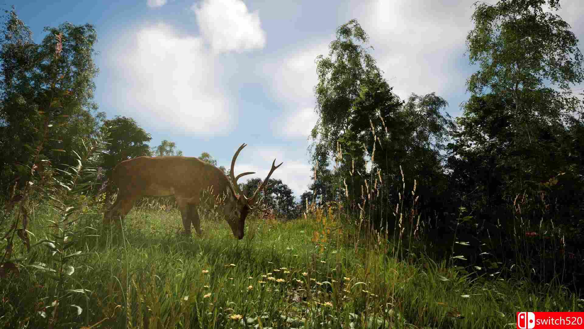 末日隔离区游戏截图4