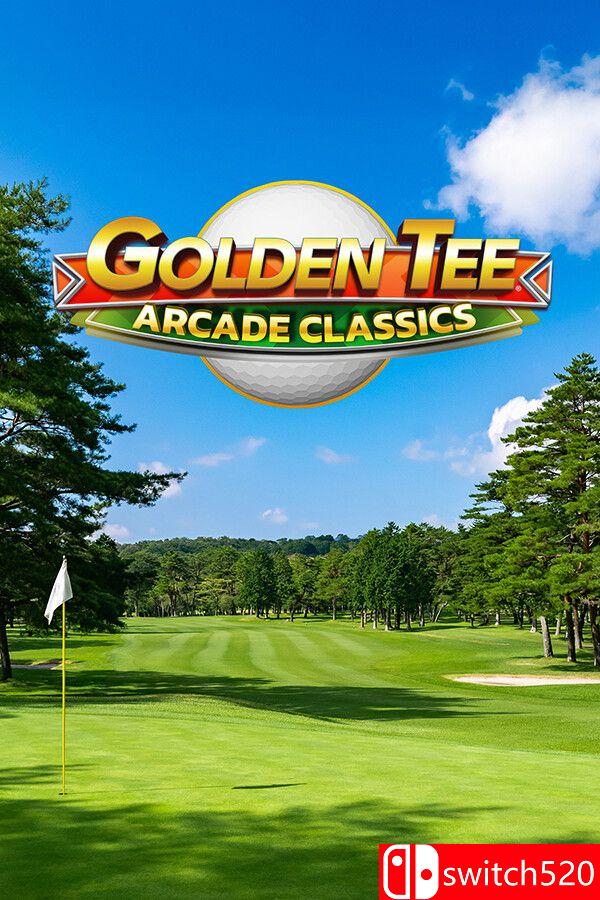 《黄金推杆街机经典》游戏封面