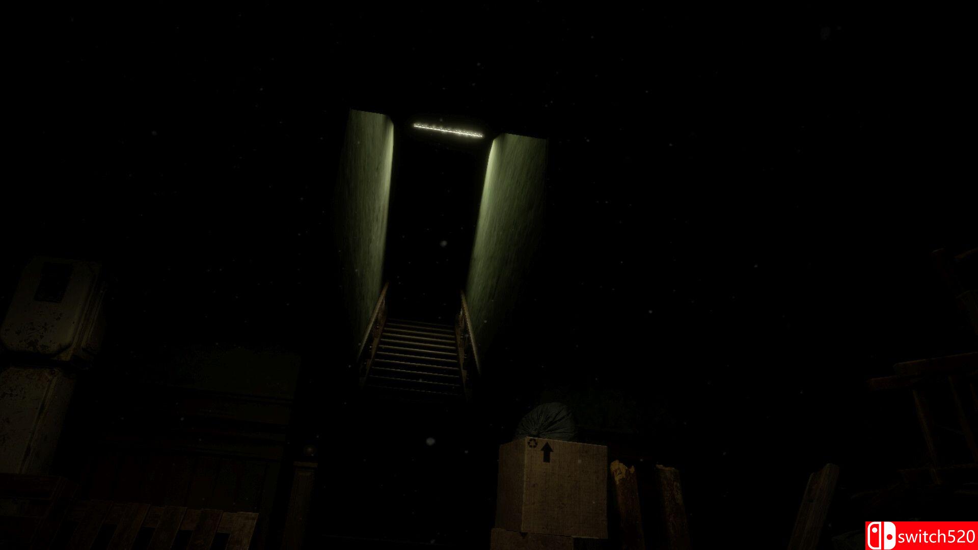 《森林6174（Forest 6174）》TENOKE镜像版[EN/JP]_2