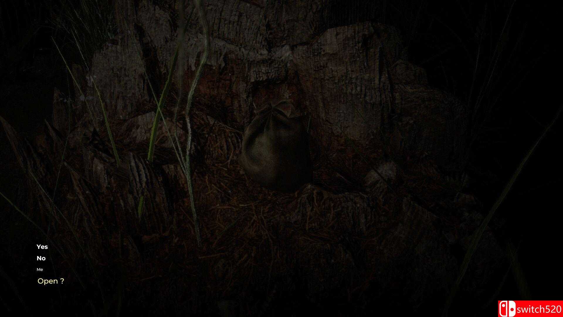 《森林6174（Forest 6174）》TENOKE镜像版[EN/JP]_3