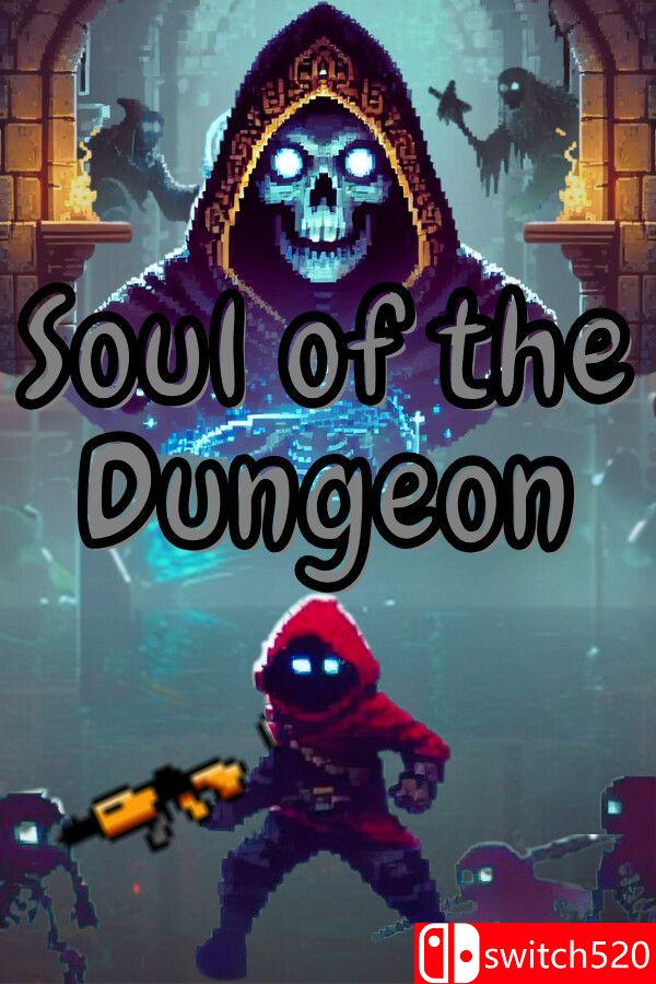 《地牢之魂》游戏封面