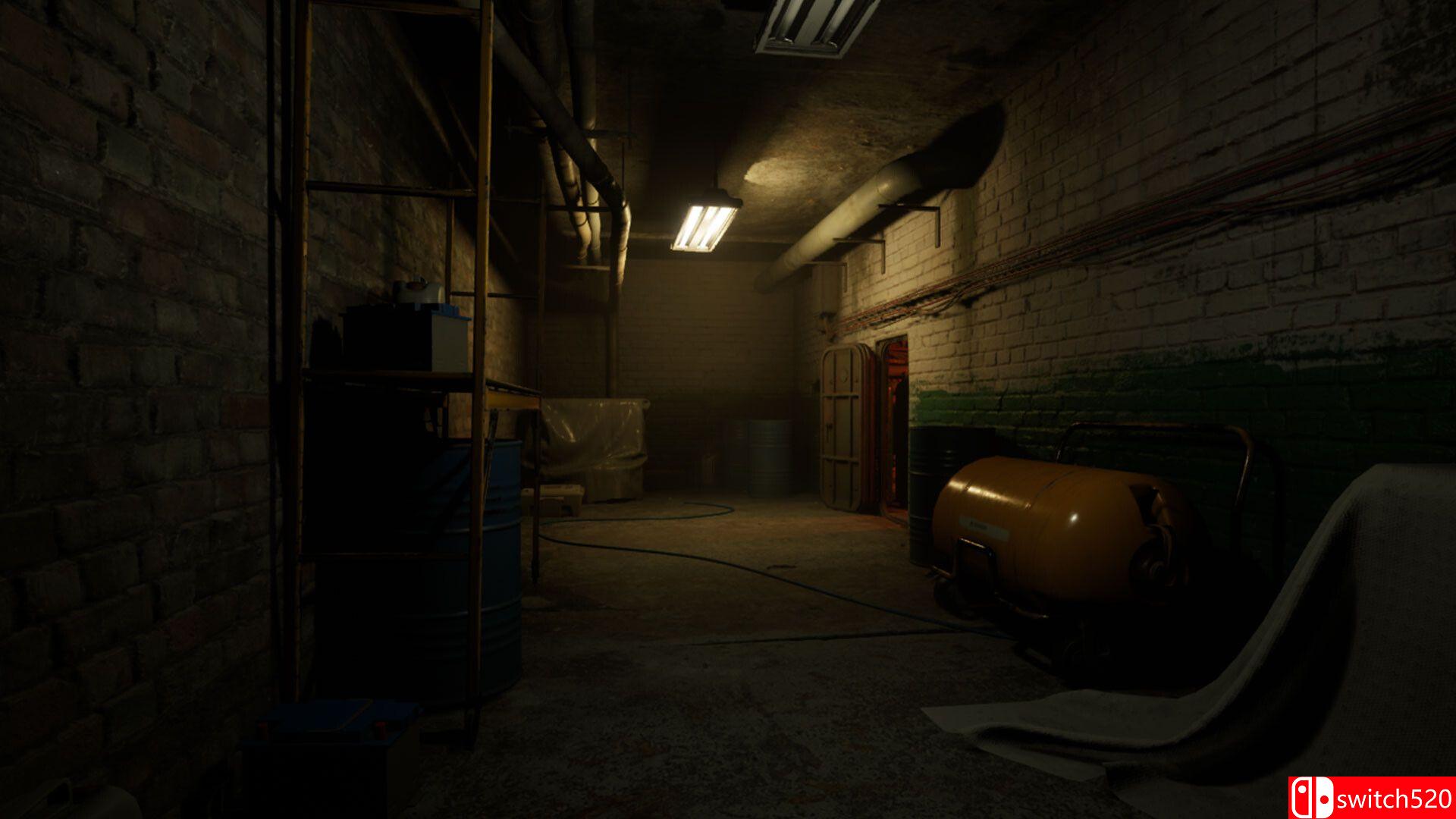 《迪梅拉行动》游戏截图3