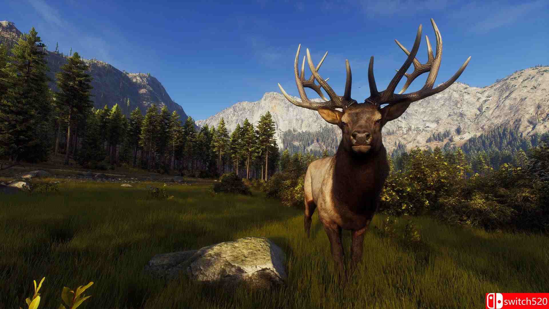 《狩猎之道》游戏截图1