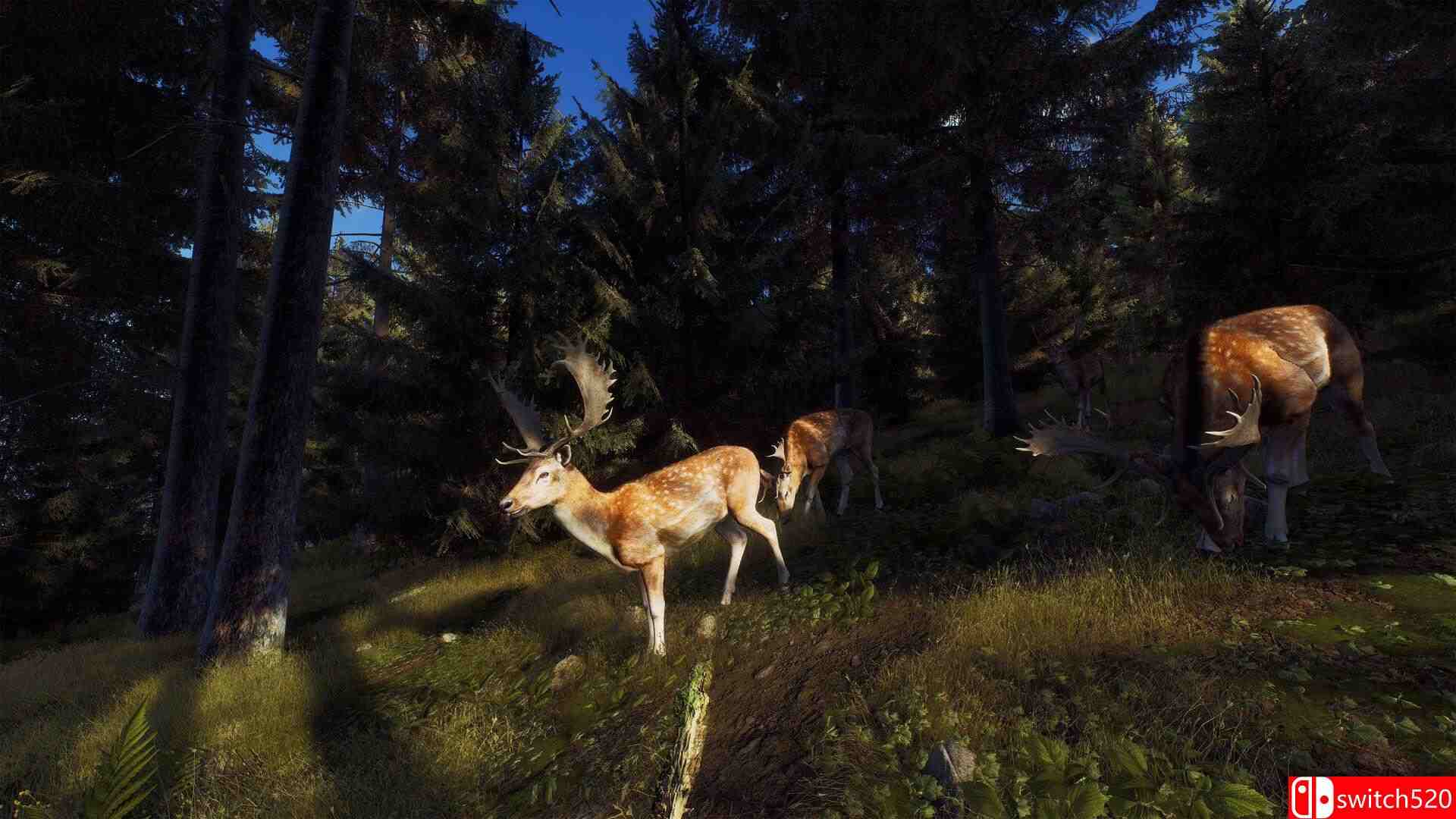 《狩猎之道》游戏截图2