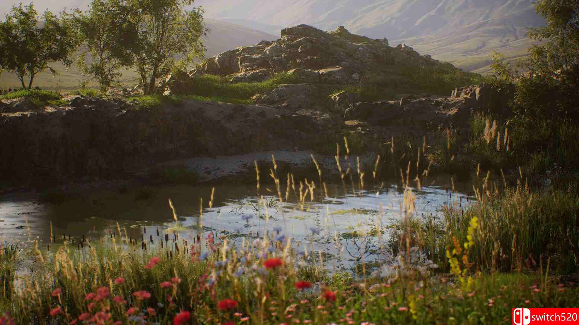 《石头模拟器（Stone Simulator – Just Be a Rock）》官方中文 TENOKE镜像版[CN/EN/JP]_1