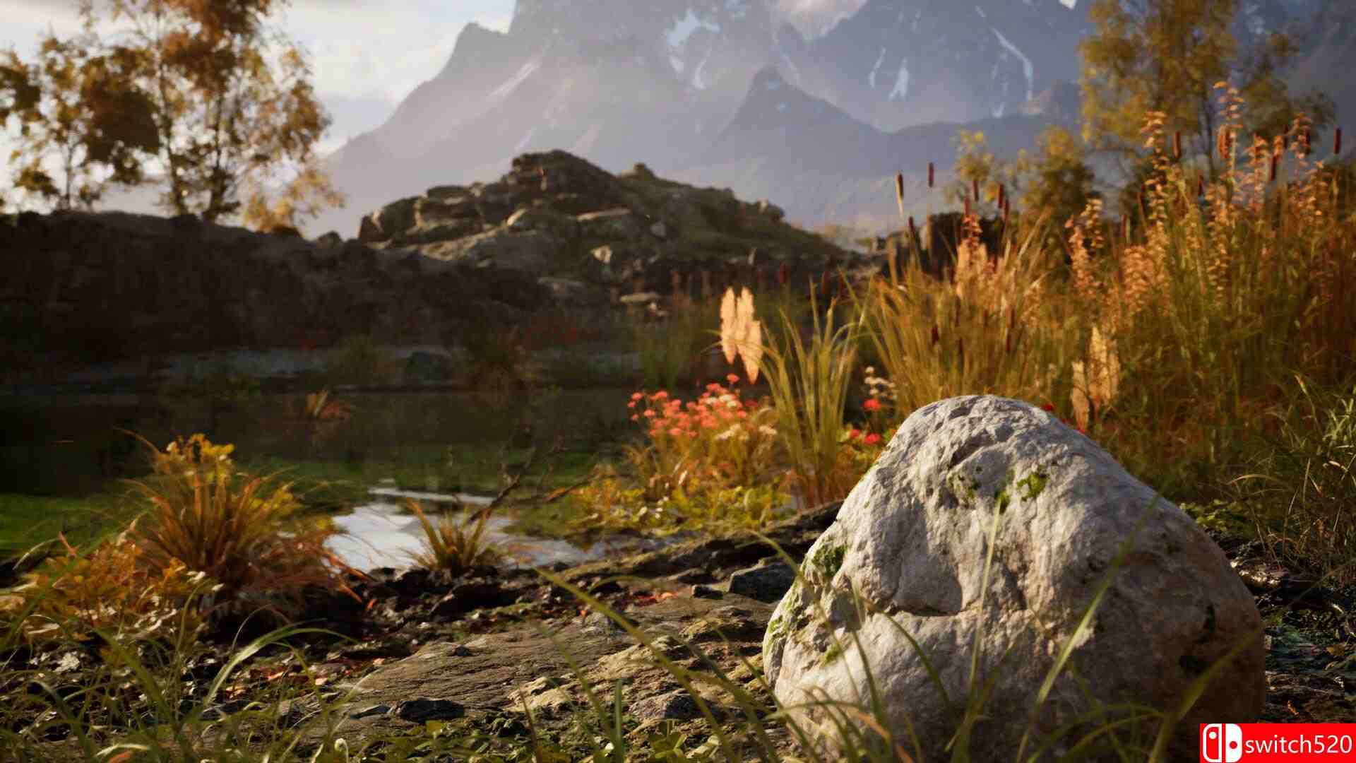 《石头模拟器（Stone Simulator – Just Be a Rock）》官方中文 TENOKE镜像版[CN/EN/JP]_4