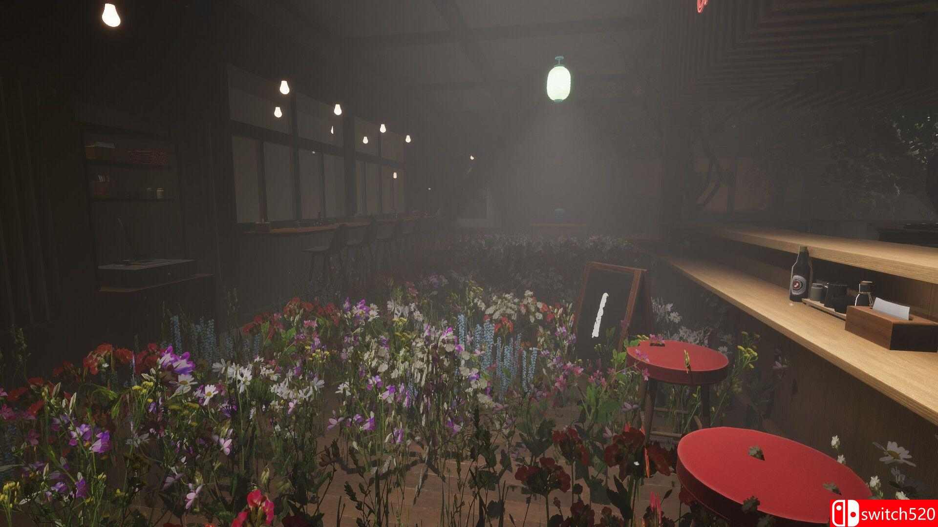 《曾见之地》游戏截图2