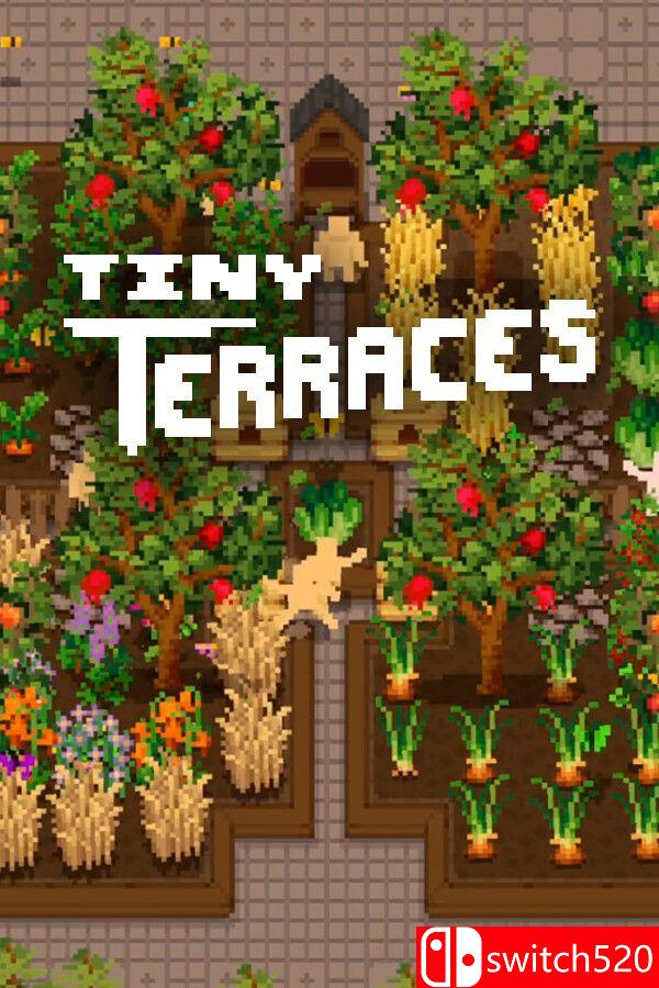 《微型露台（Tiny Terraces）》官方中文 Build 19573559 P2P硬盘版封面图