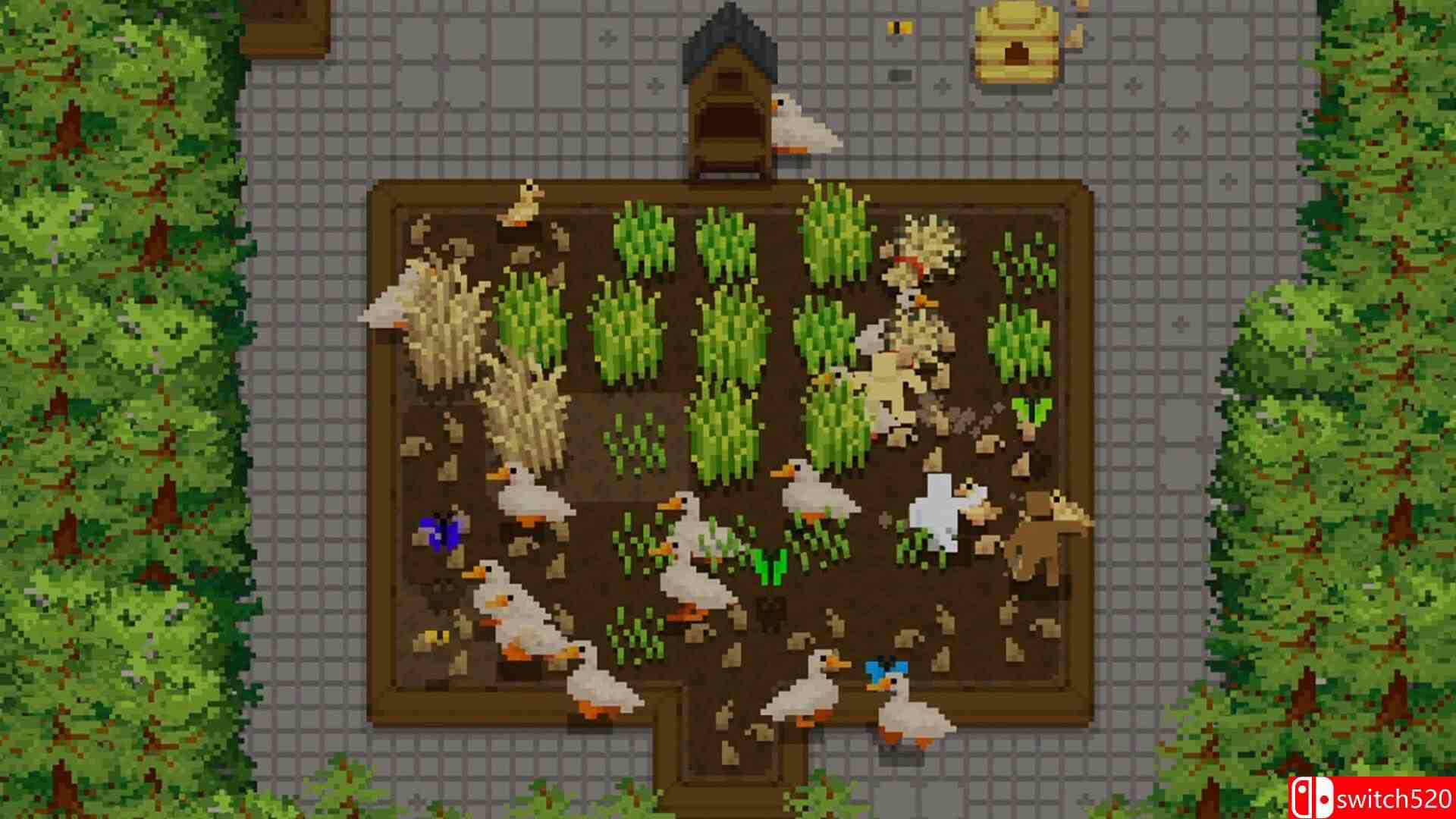 《微型露台》游戏截图2