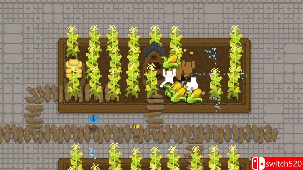 《微型露台》游戏截图4