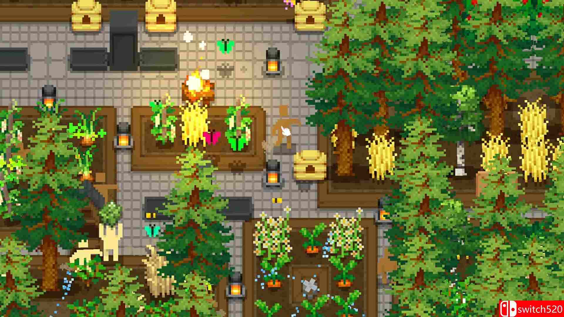 《微型露台》游戏截图3