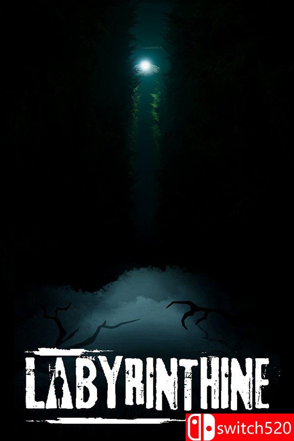 《迷路（Labyrinthine）》游戏封面