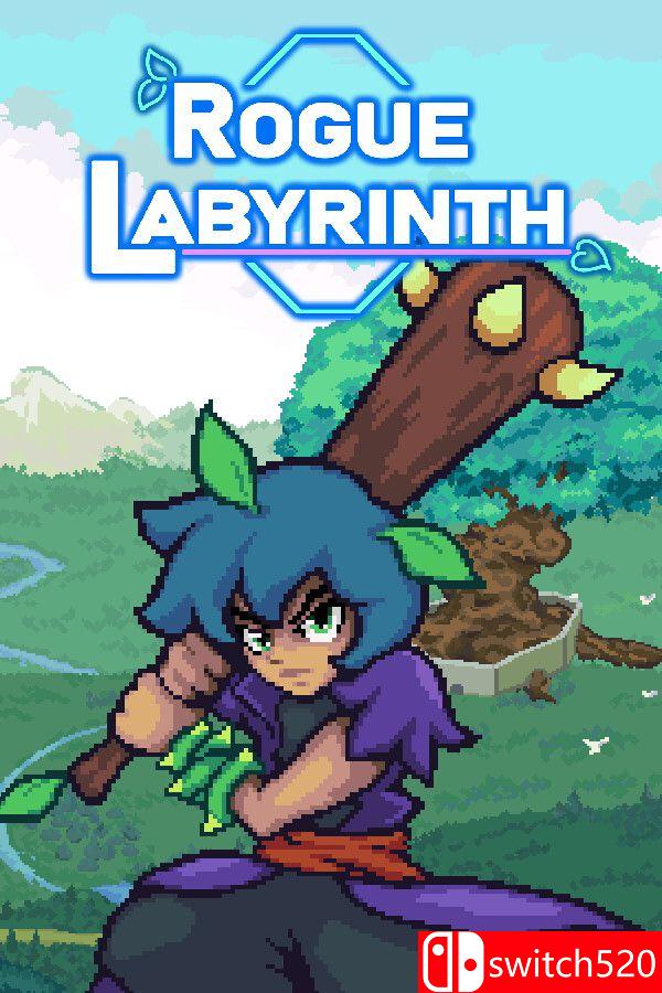 《流浪迷宫（Rogue Labyrinth）》游戏封面