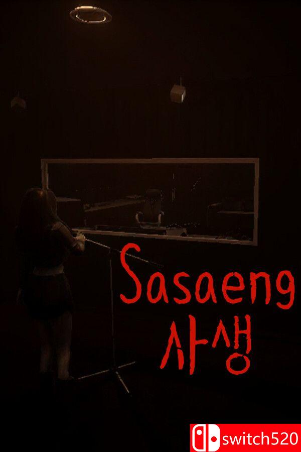 《私生饭（Sasaeng）》游戏封面