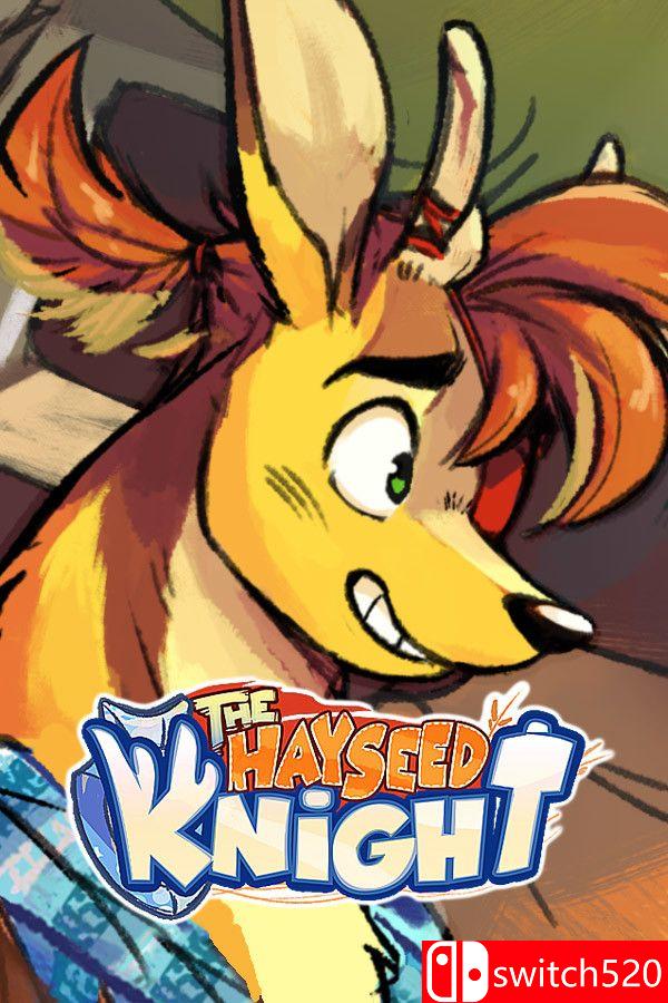 《乡村骑士》游戏封面