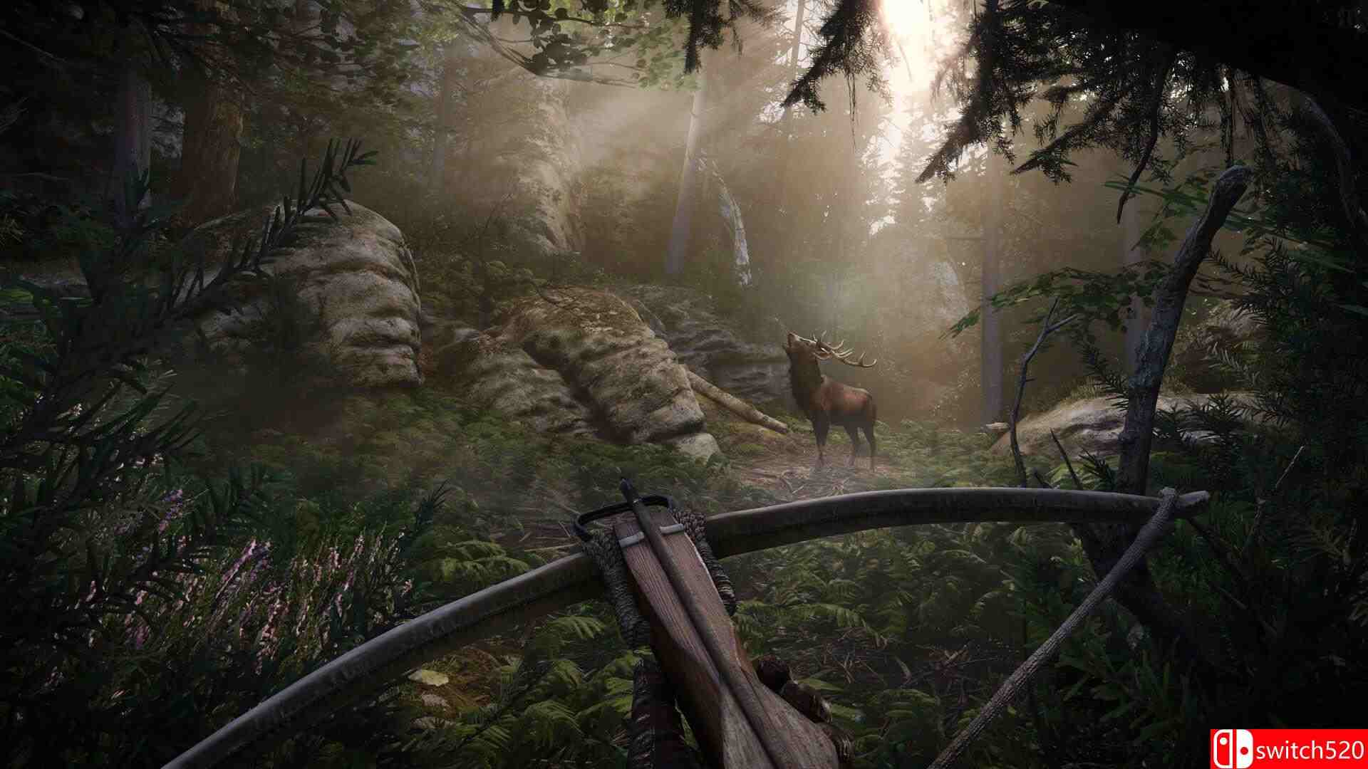 《天国：拯救2》游戏截图5