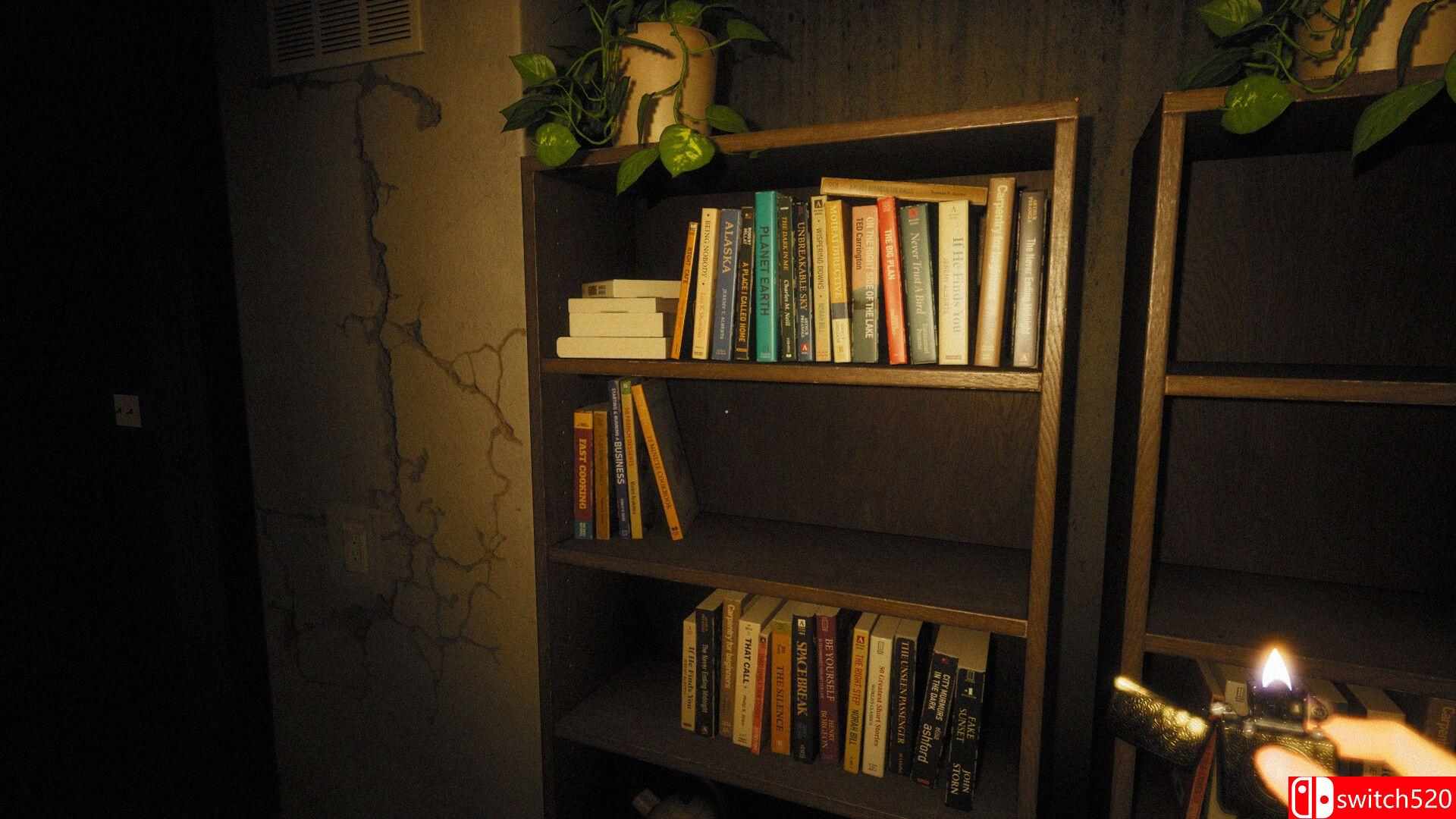 《失落的光辉（Lost Luminosity）》P2P硬盘版[EN]_2