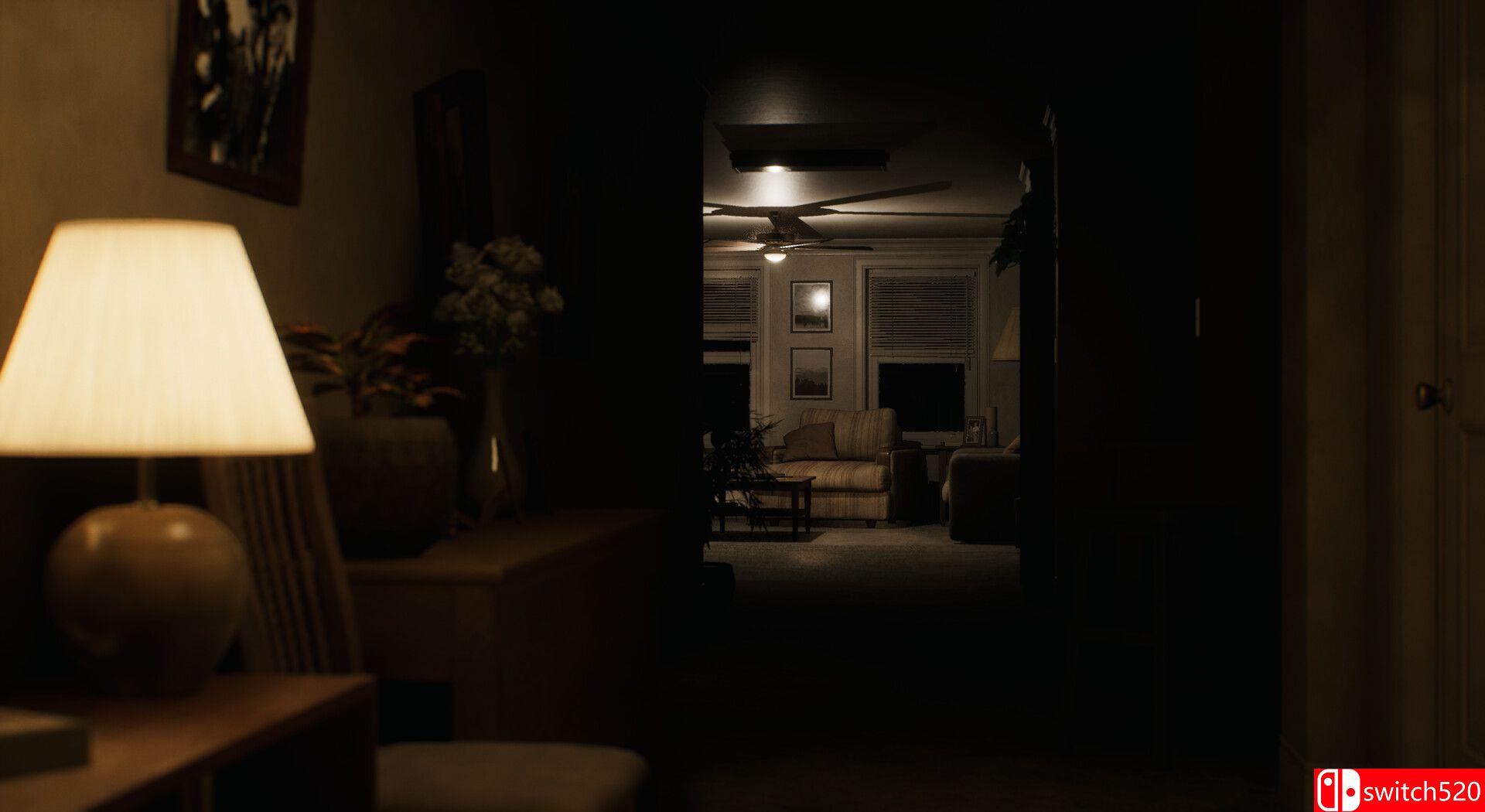 《失落的光辉（Lost Luminosity）》P2P硬盘版[EN]_3