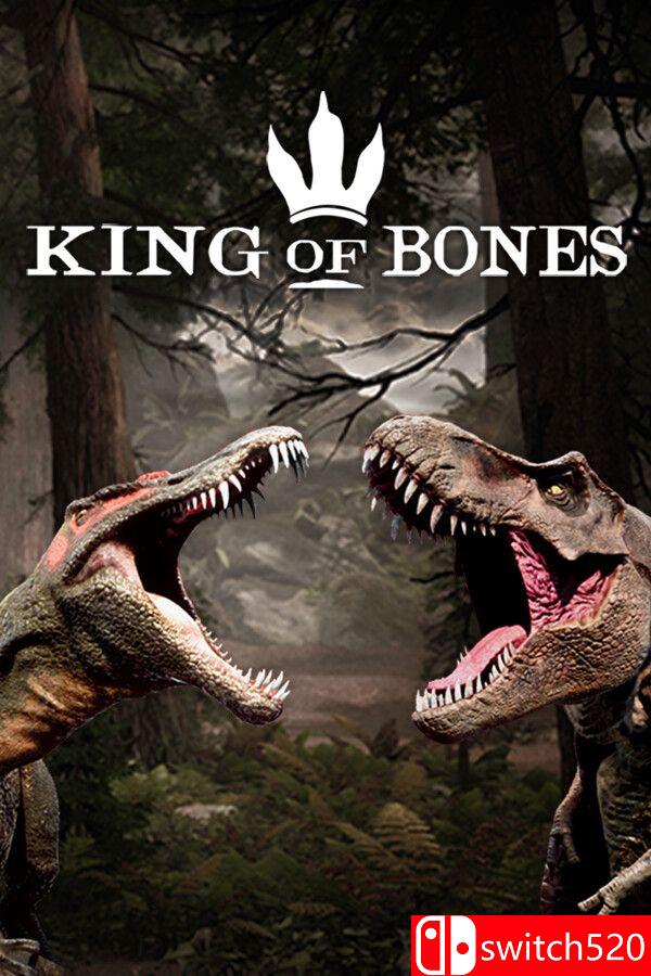 《骨之王者（King of Bones）》游戏封面