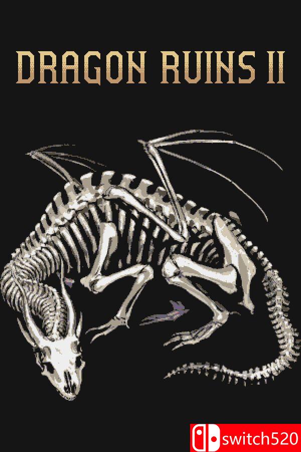 《龙遗秘境2》游戏封面