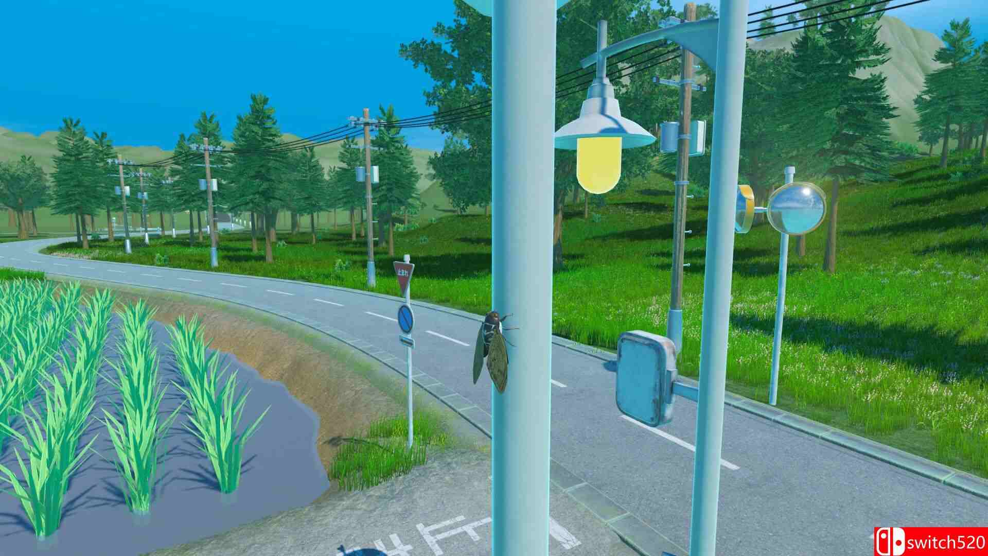 《蝉之生存》游戏截图3