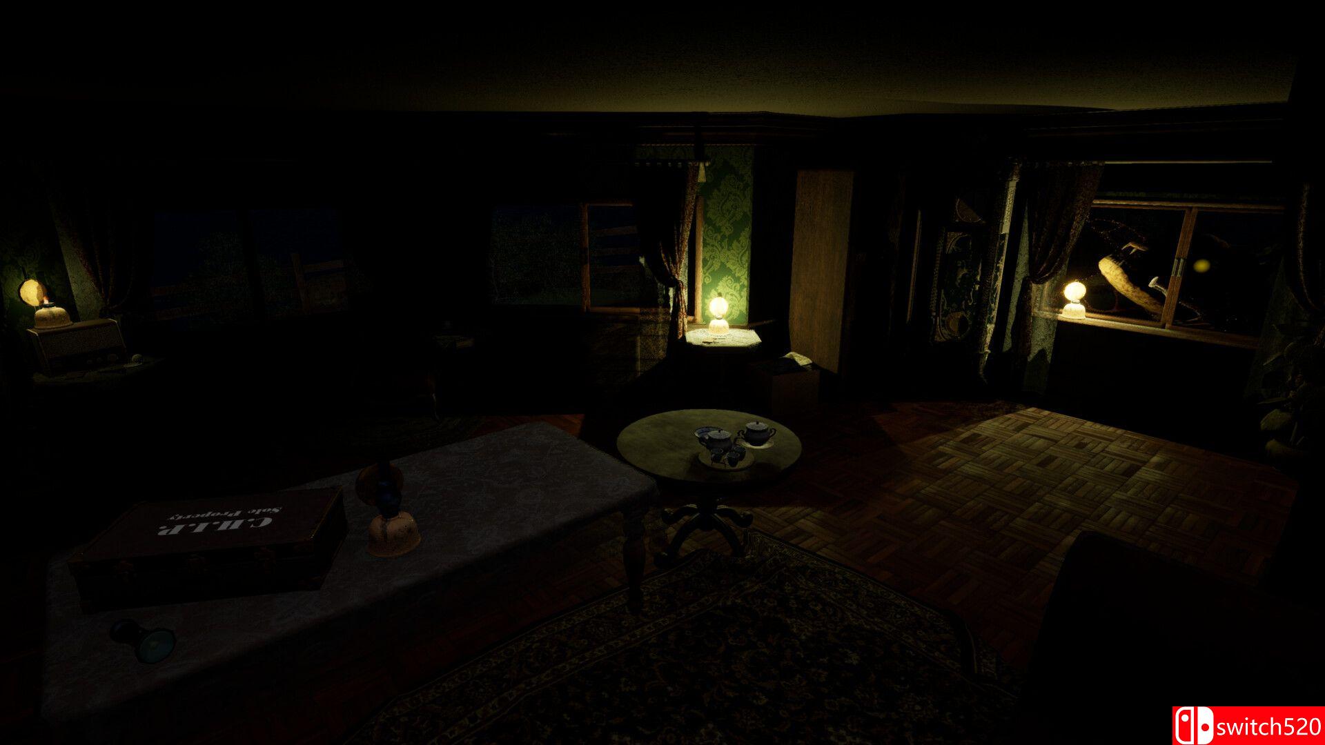 霍普金斯悬崖夜巡游戏截图5