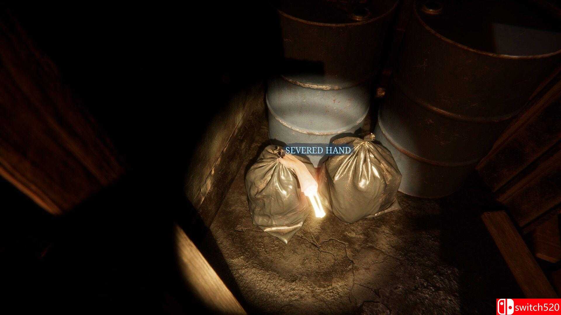 《这是约翰的房子》游戏截图2