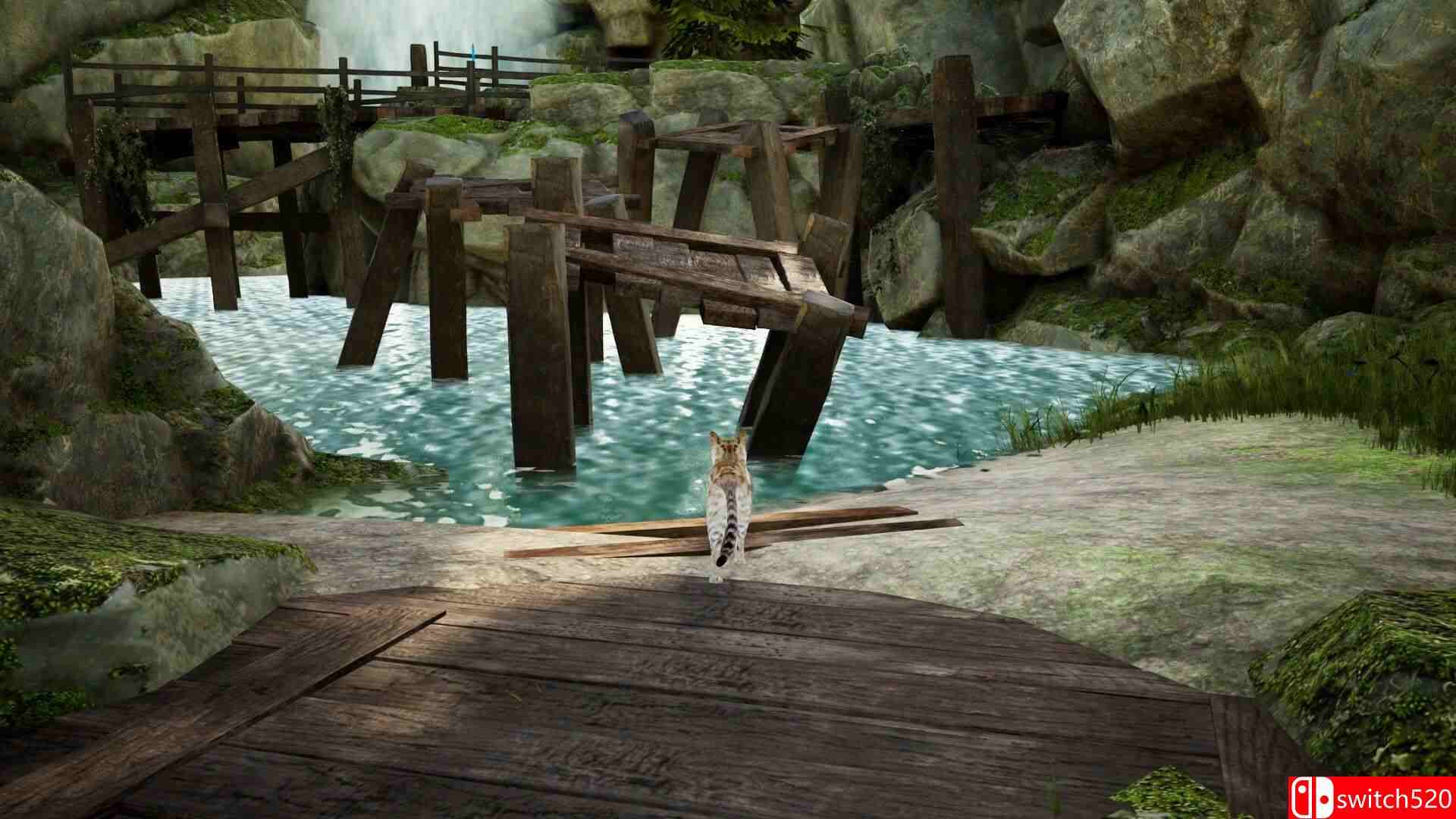 《好奇心》游戏截图3