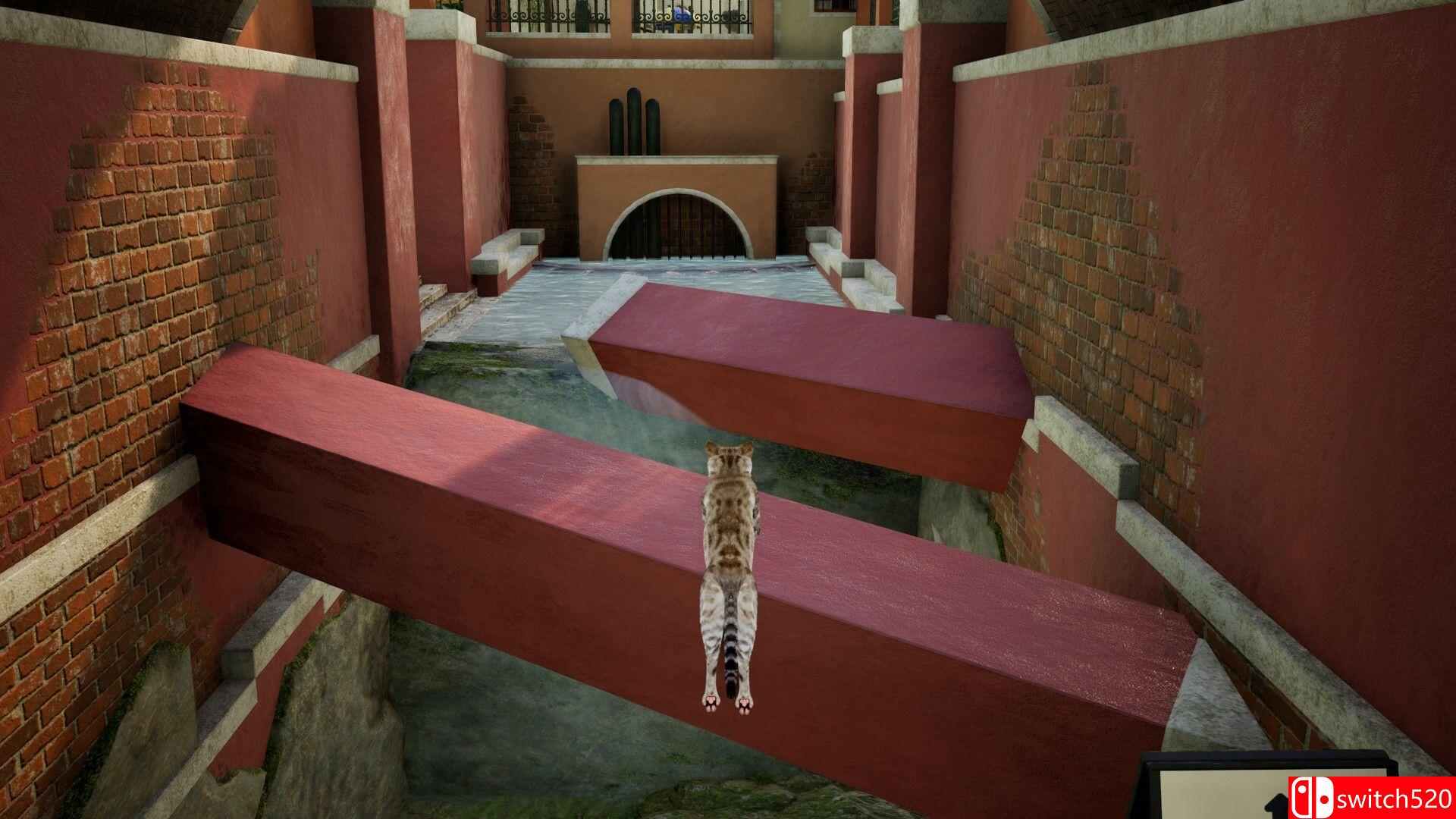 《好奇心》游戏截图1