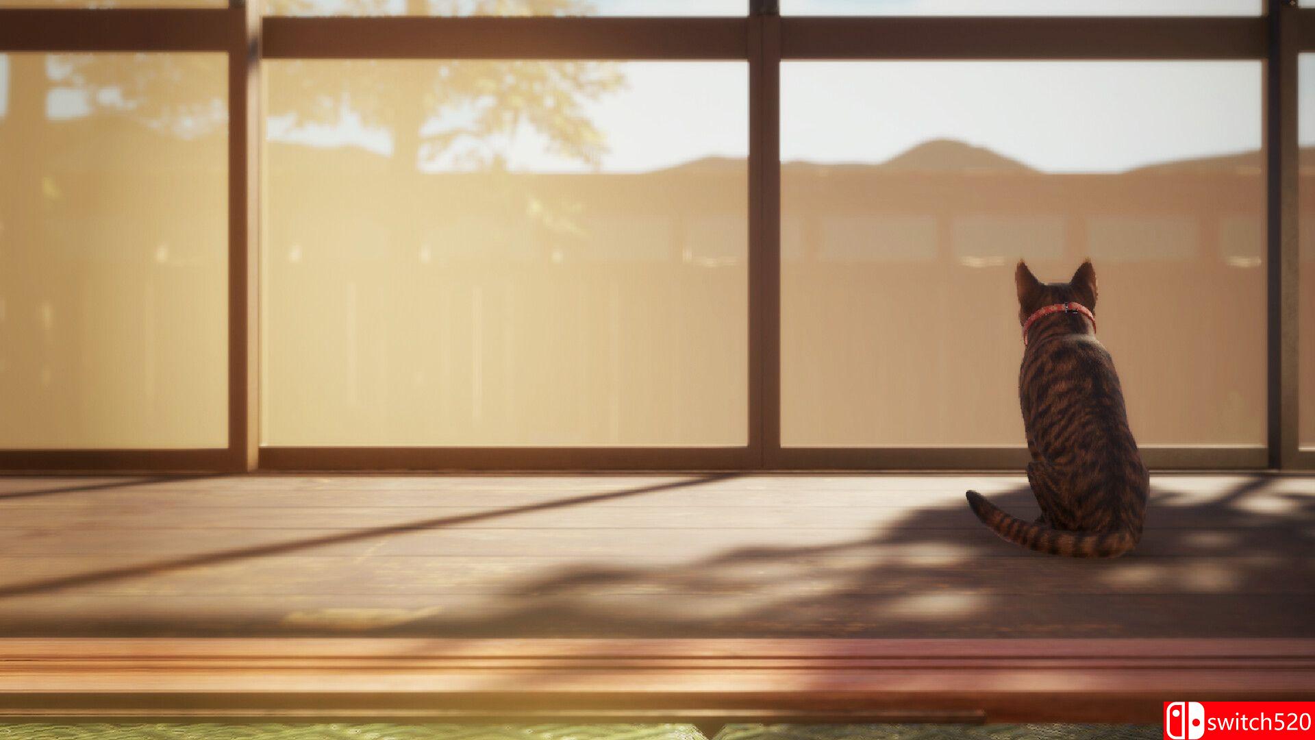 《猫还在逃吗？》游戏截图1